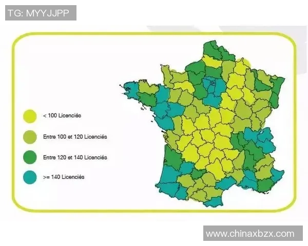 母亲为法国人背景的足球巨星及其成就解析